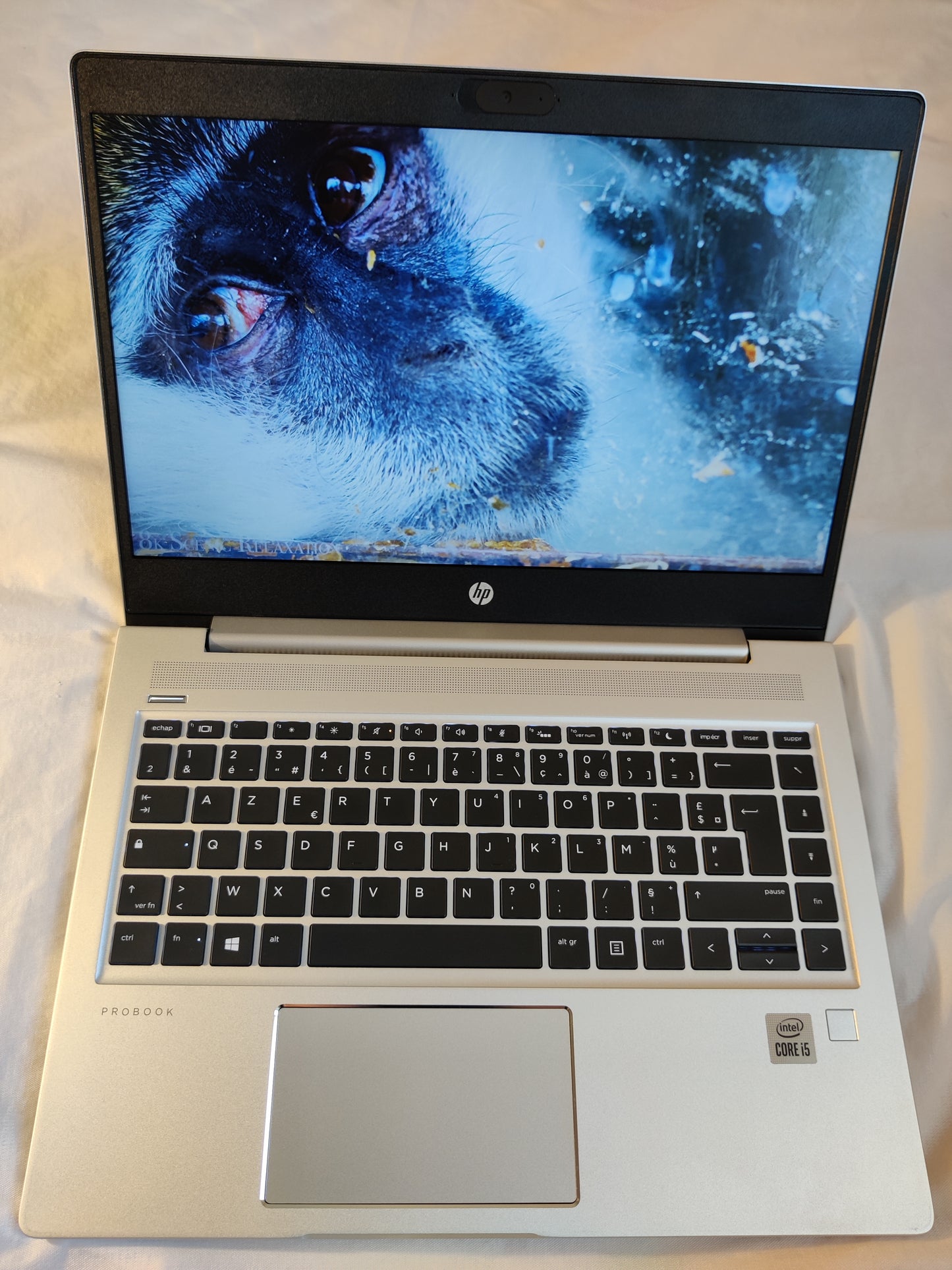 HP Probook 440 G7, Core i5-1021U, RAM 16 GO, SSD 256 GO HDD 1 TO 14" FHD